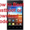 Enter Fastboot Mode on LG Optimus L5 Dual E615