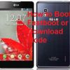 Enter LG Optimus G LS970 into Fastboot or Download Mode