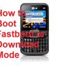 Enter Fastboot or Download Mode on LG Tri Chip C333